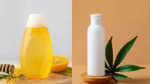 10 Best Anti Hairfall Shampoos for Men and Women in Winters                                          