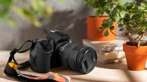 Top 5 Canon DSLR Cameras On Amazon: The Beginner’s Best Friend