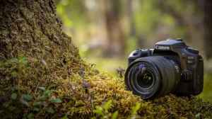 Beginner Cameras Under ₹80,000 With Real Shooting Feel And Simple Controls