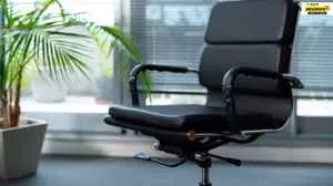 These Office Chairs for Back Support  Offer Comfort for Long Working Hours  