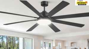 Get Faster Cooling For Massive Spaces In Summer With Big Ceiling Fans: Better Air Circulation And Ventilation                                          