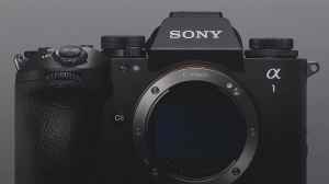 Latest Sony Mirrorless Cameras Under 100000 For Wildlife Photography