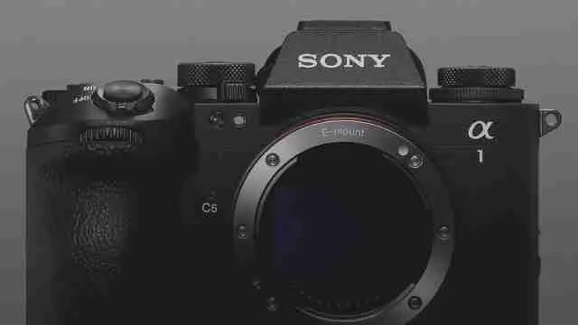 Latest Sony Mirrorless Cameras Under 100000 For Wildlife Photography