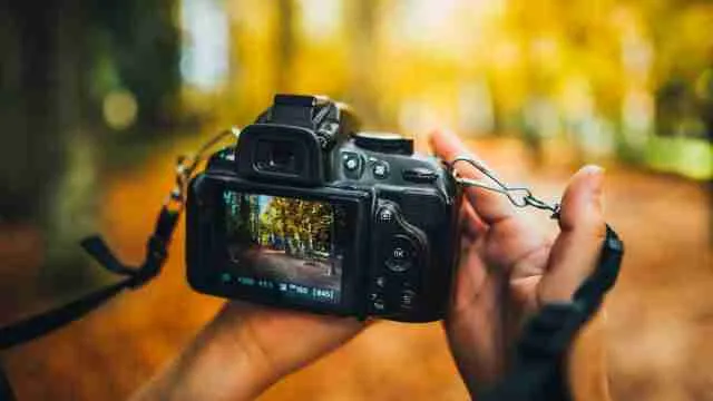 Top-Rated DSLR Cameras from Sony And Nikon With Advanced Autofocus Systems (July 2026)