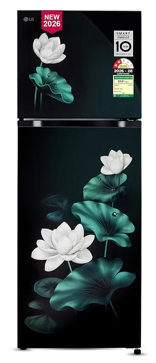LG 251 L, 2 Star, Frost-Free Smart Inverter Double Door Convertible Refrigerator 