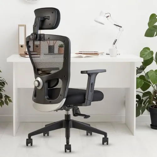 INNOWIN Jazz High Back Office Chair