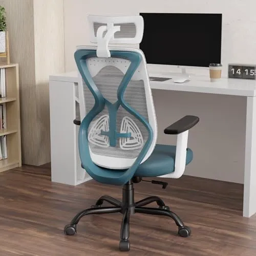 itan Ergonomic Office Chair