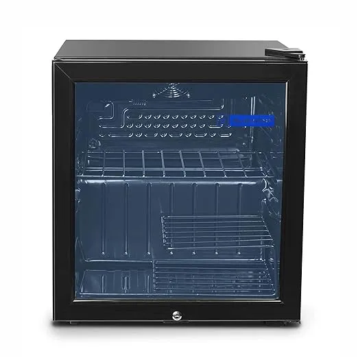 Blue Star VC65D Automatic Single Door Visi Cooler 