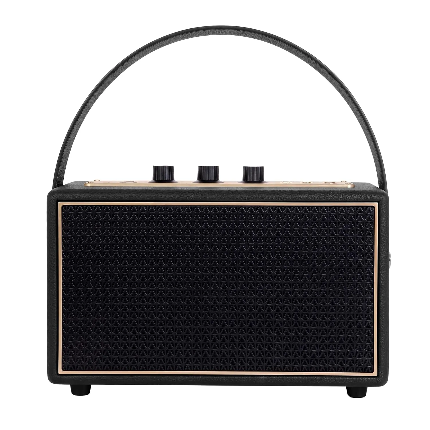 Schneider ENERZA HP60 Wireless Portable Home Audio Speaker