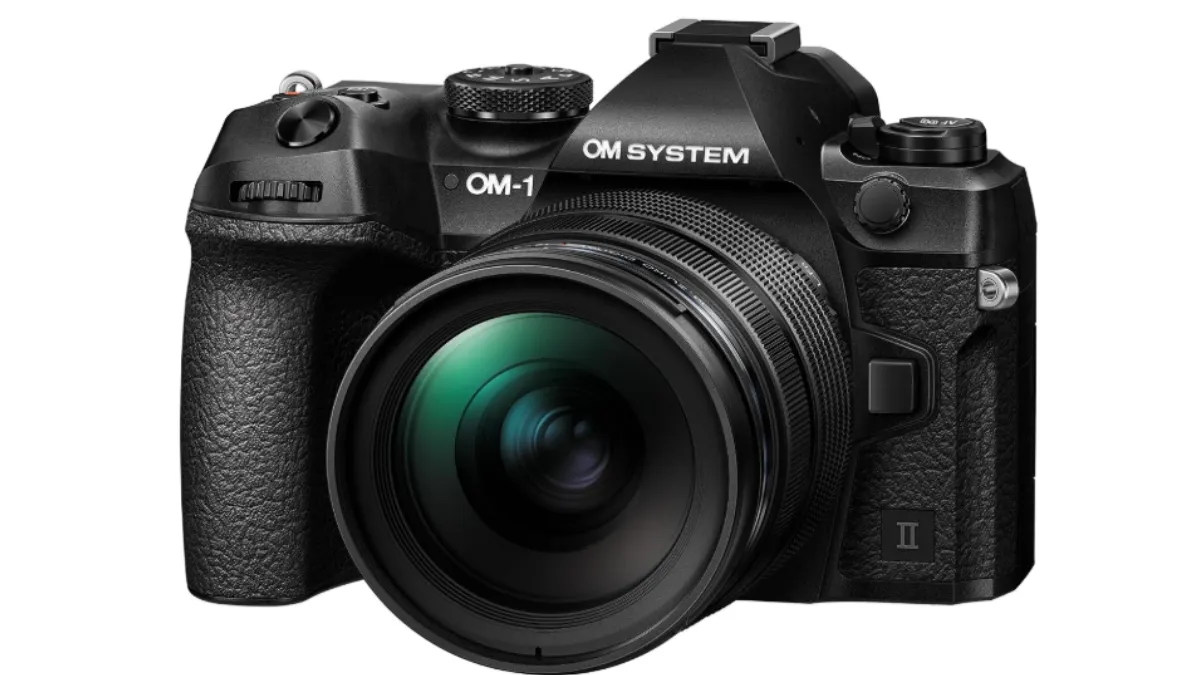Top Wildlife Photography Cameras
