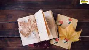 5 Best Classic Novels To Read: Timeless Literature Reads That Are Still Relatable                                          