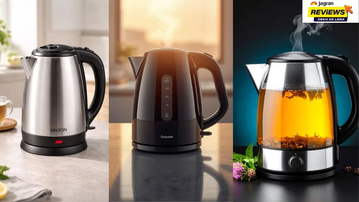 Best Daily Use Electric Kettles for Home