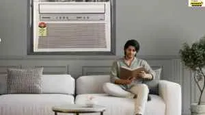 Conquer High Humidity With These 5 Window ACs: Picks For Tamil Nadu, Maharashtra, And More                                          