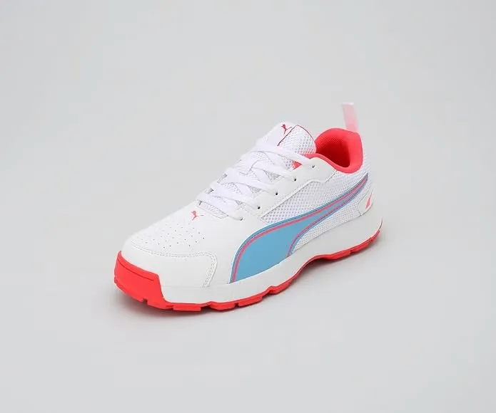 Puma Men HighRun Cricket Shoe