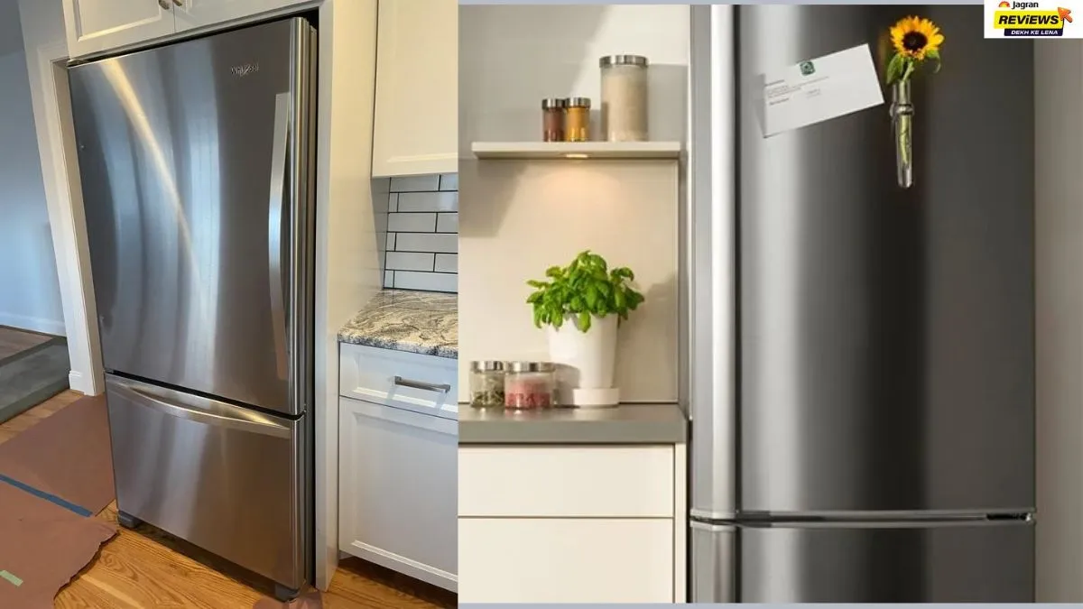 Haier Bottom Mounted Refrigerators 
